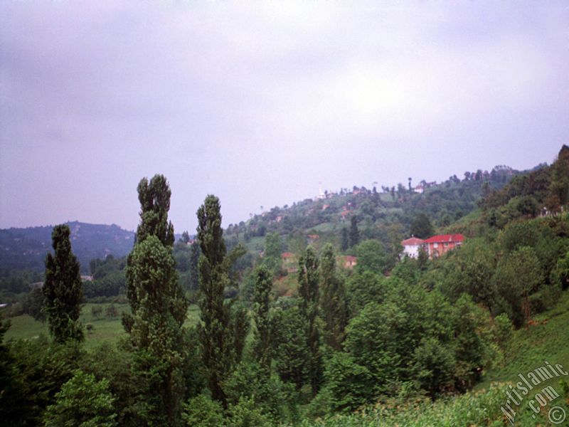 View of village from `OF district` in Trabzon city of Turkey.
