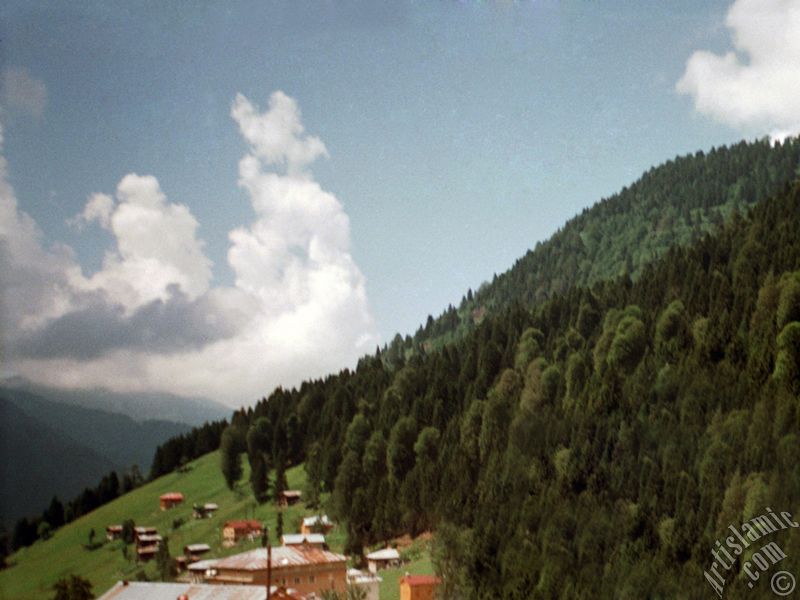 View of Ayder high plateau and spa located in Rize city of Turkey.
