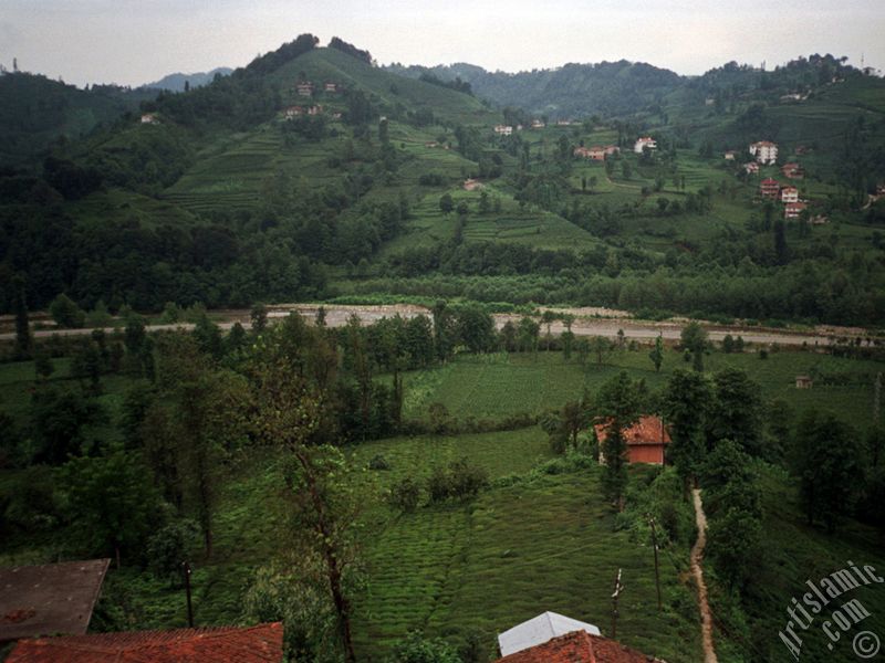 View of village from `OF district` in Trabzon city of Turkey.
