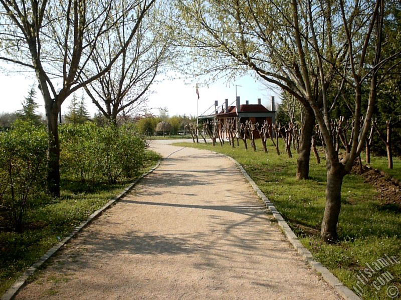 View of Botanical Park in Bursa city of Turkey.
