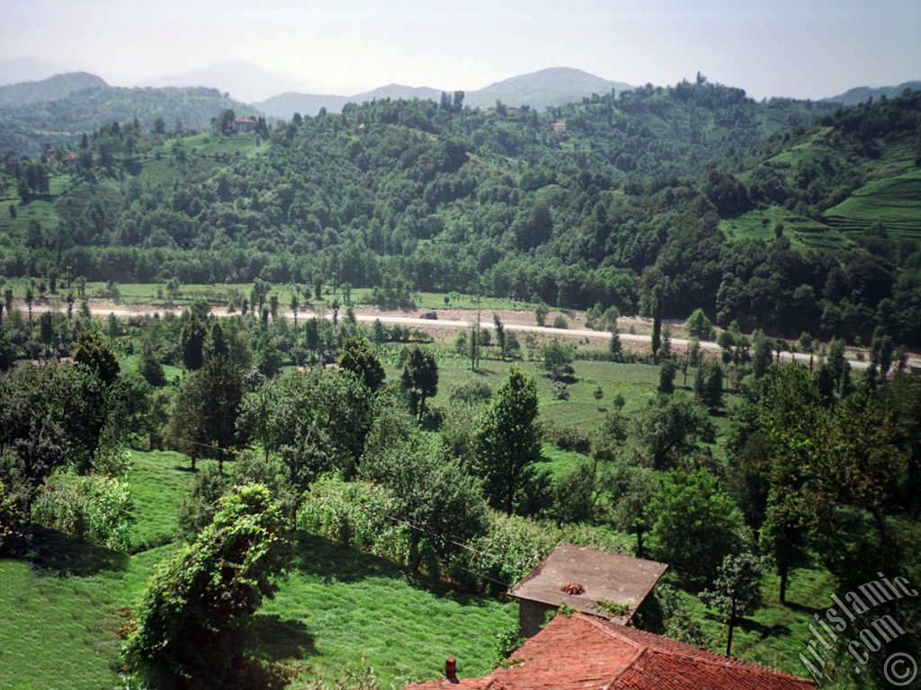 View of village from `OF district` in Trabzon city of Turkey.
