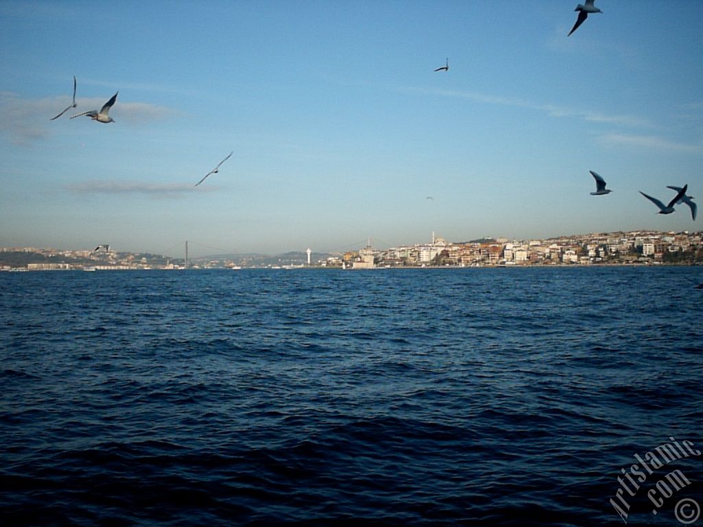 View of Bosphorus Bridge, Uskudar coast Kiz Kulesi (Maiden`s Tower) and sea gulls from the Bosphorus in Istanbul city of Turkey.
